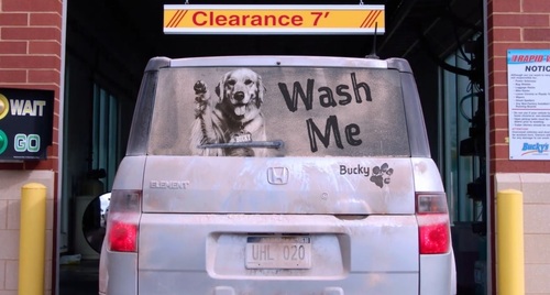 Get Unlimited Monthly Car Washes on the Bucky's App